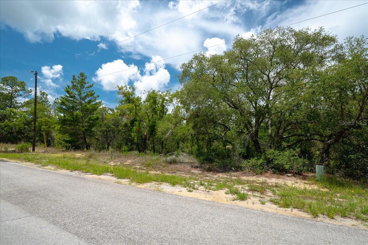 6830 N Sandborn Loop Property Photo 11