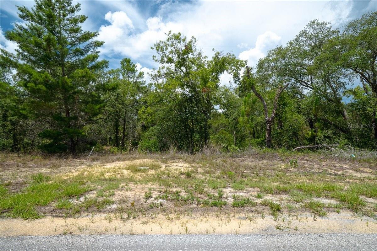 6830 N Sandborn Loop Property Photo 13