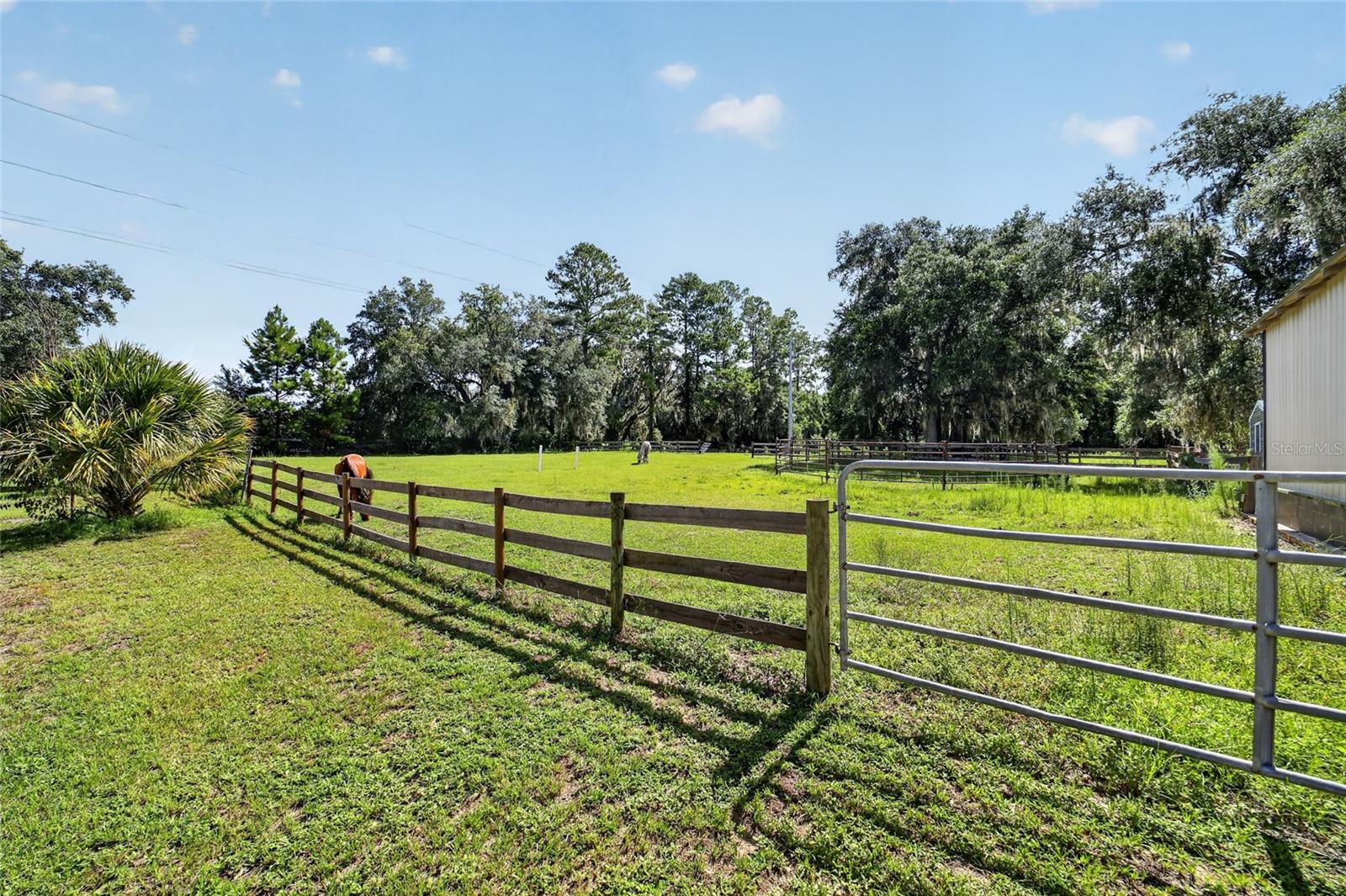 11105 W Highway 326 Property Photo 61