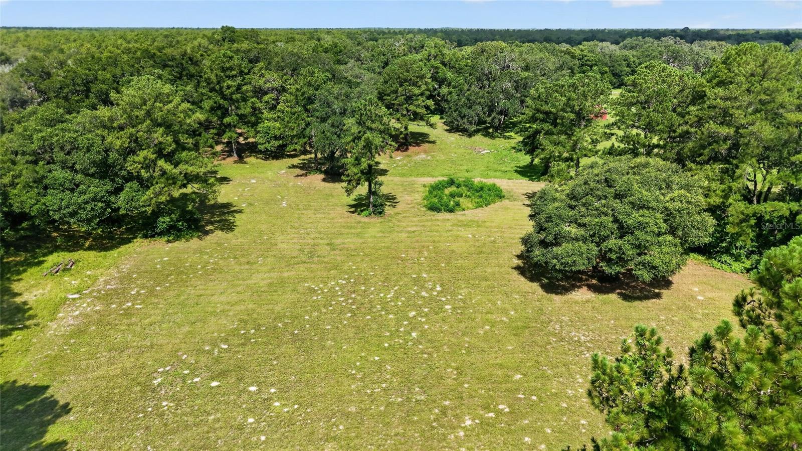 15020 W Highway 328 Property Photo 49