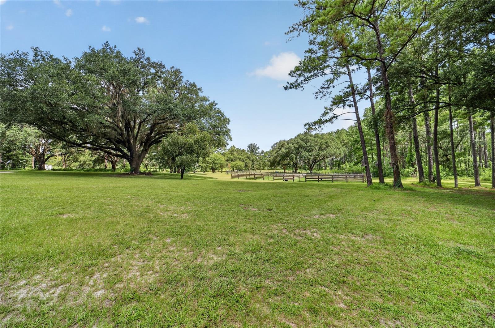 15020 W Highway 328 Property Photo 51