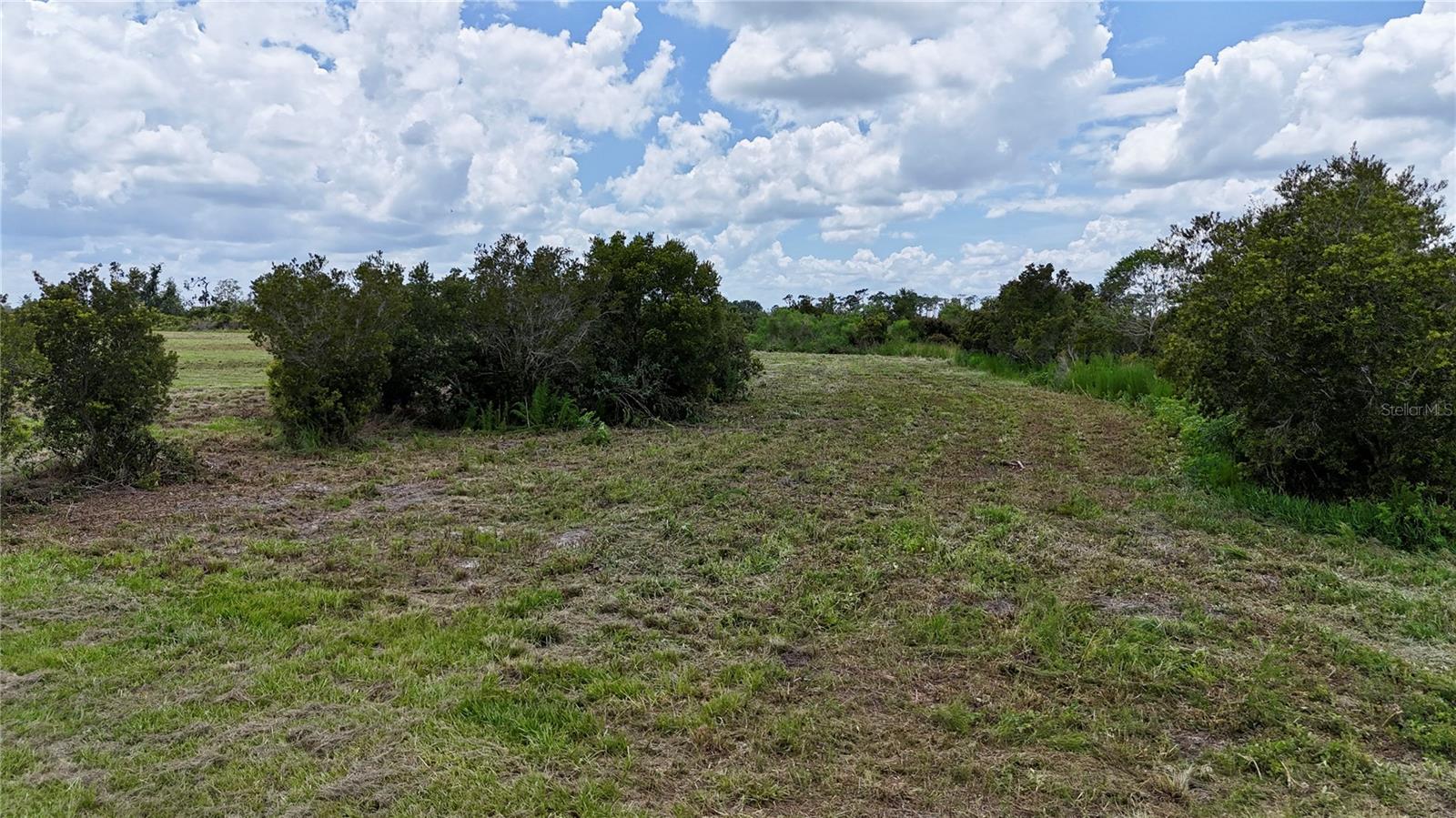 County Line Rd E Property Photo 18
