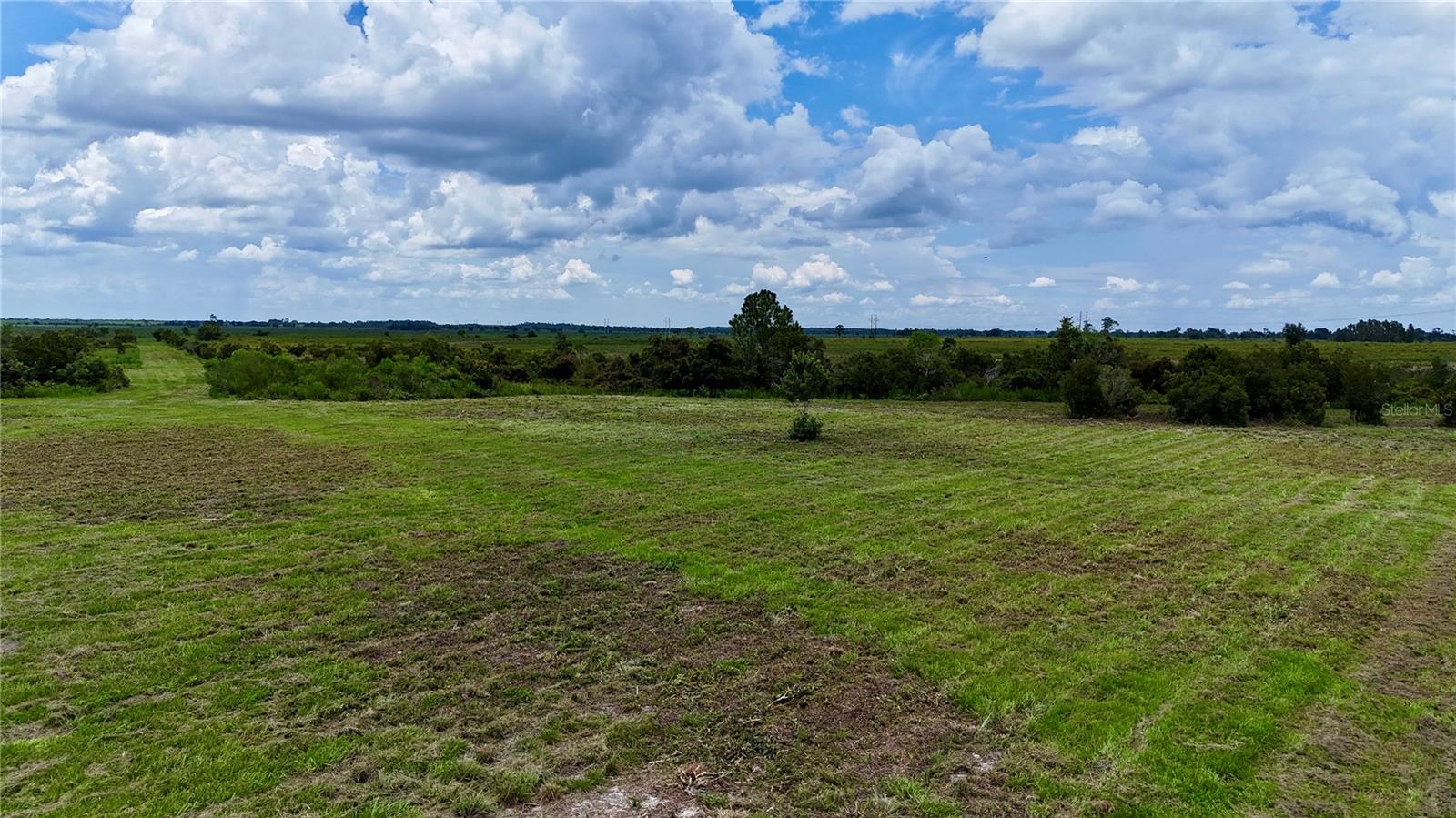 County Line Rd E Property Photo 19