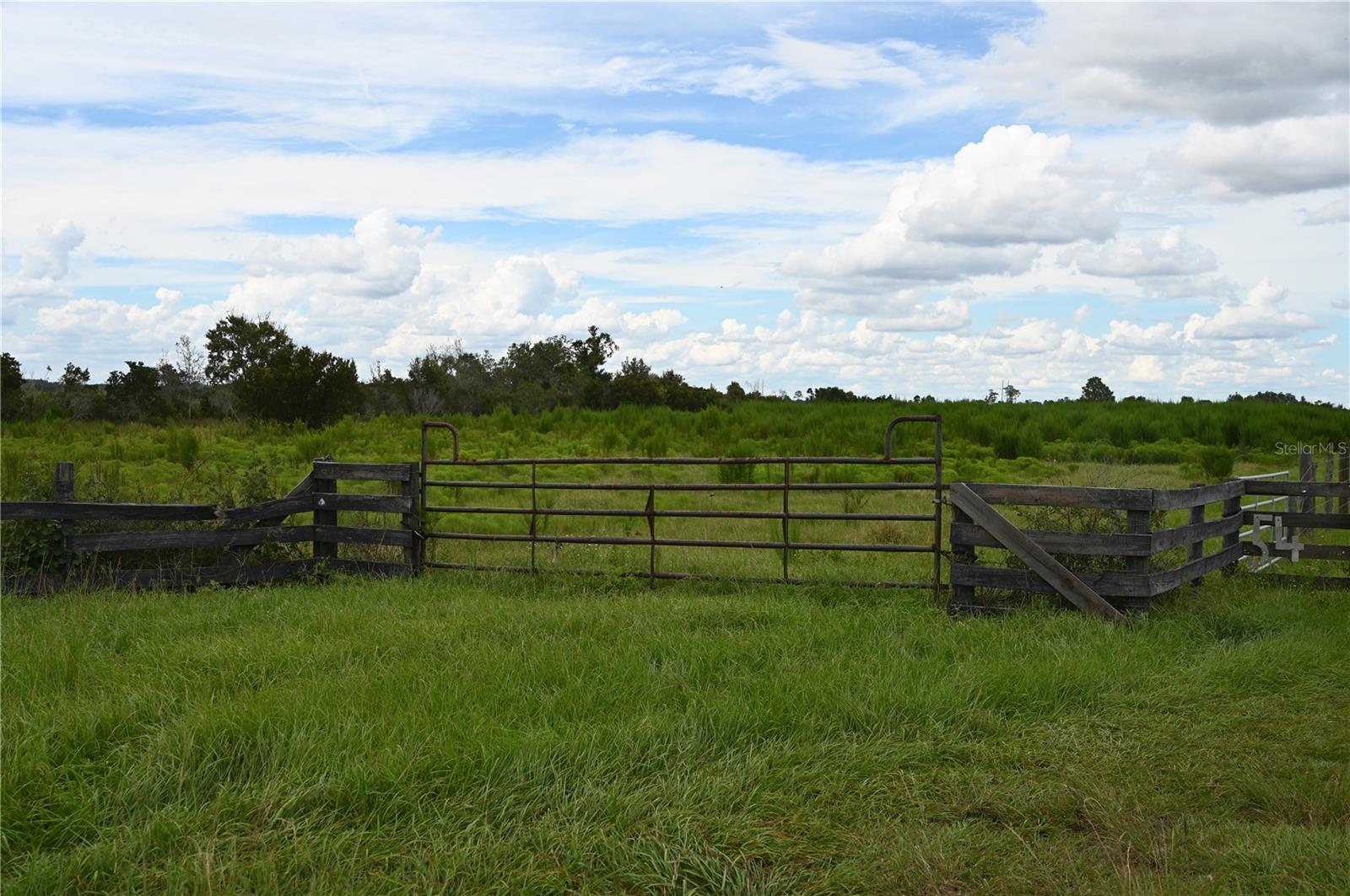 County Line Rd E Property Photo 27