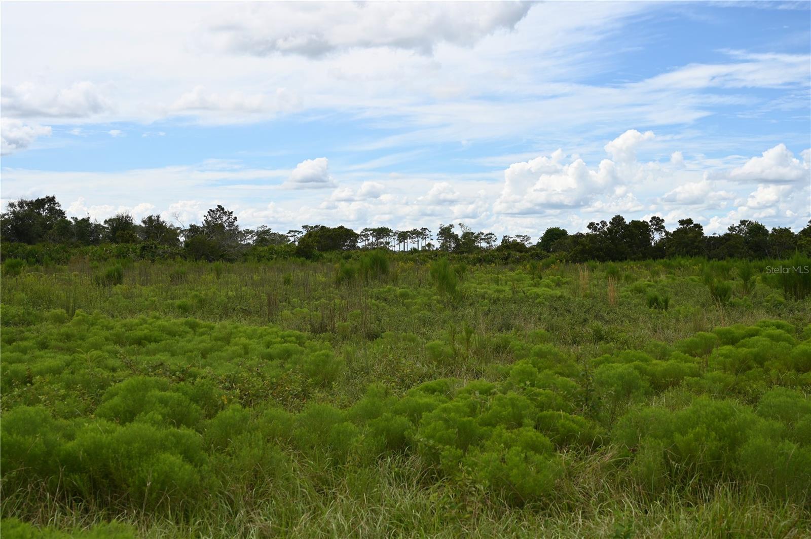 County Line Rd E Property Photo 29