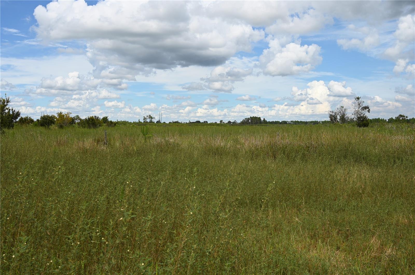 County Line Rd E Property Photo 35
