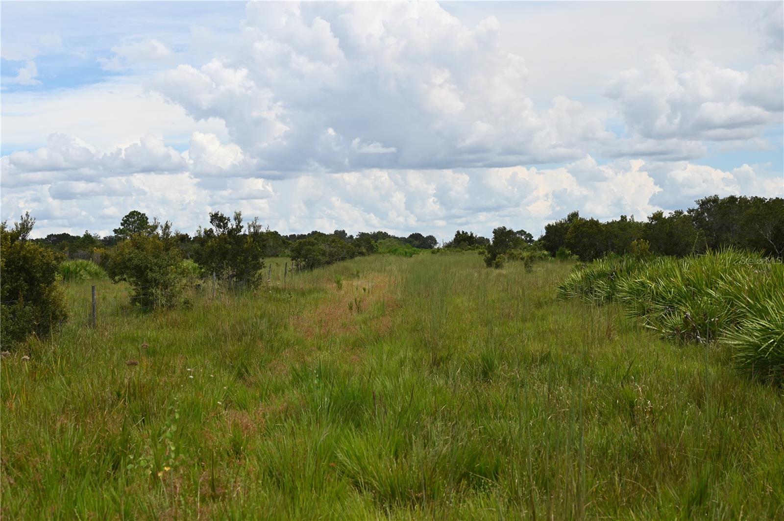 County Line Rd E Property Photo 37