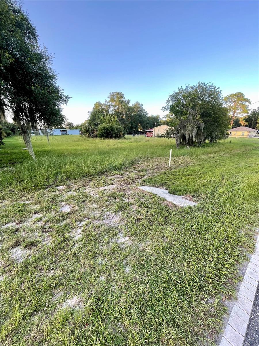 Central Ave Property Photo 3
