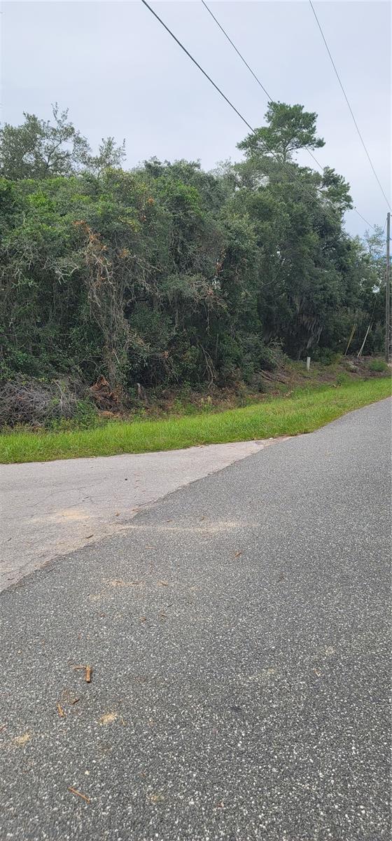 Lot 15 OLIVE WAY Property Photo 1