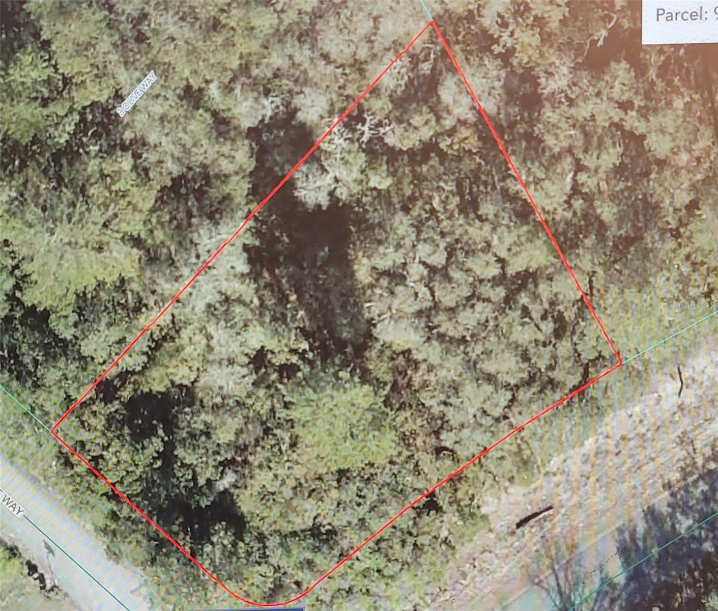 Lot 15 Olive Way Property Photo 2