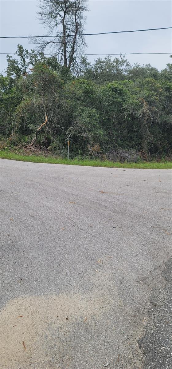 Lot 15 Olive Way Property Photo 4