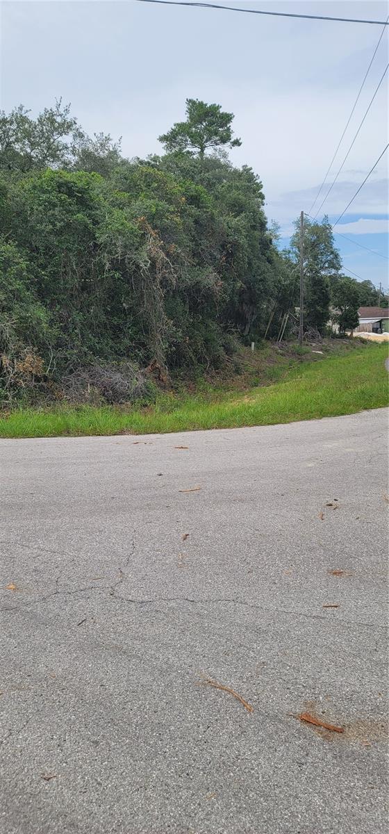 Lot 15 Olive Way Property Photo 6