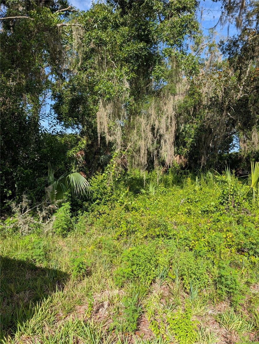 6650 N Beechnut Loop Property Photo 2
