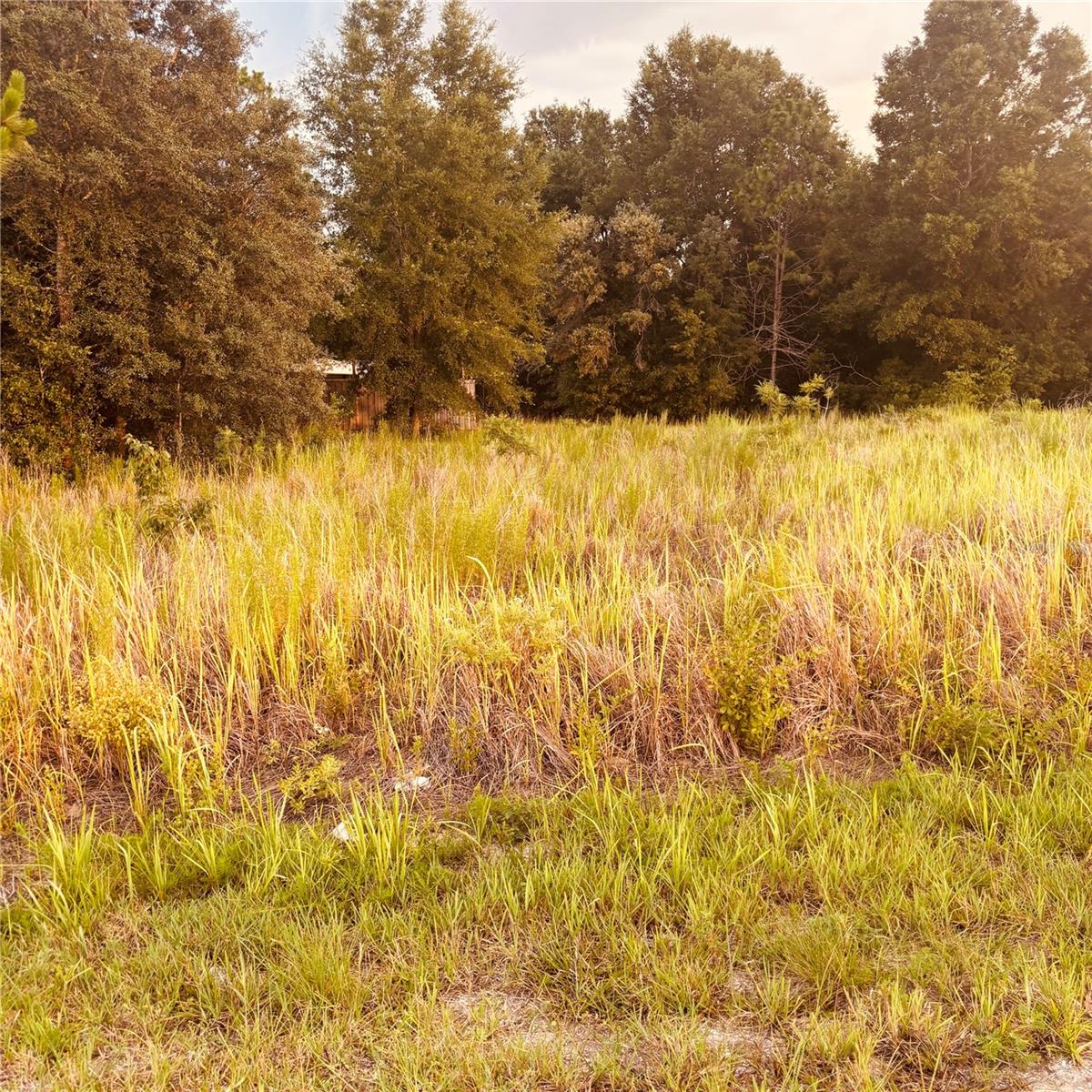 TBD DOGWOOD DRIVE CRSE Property Photo 1