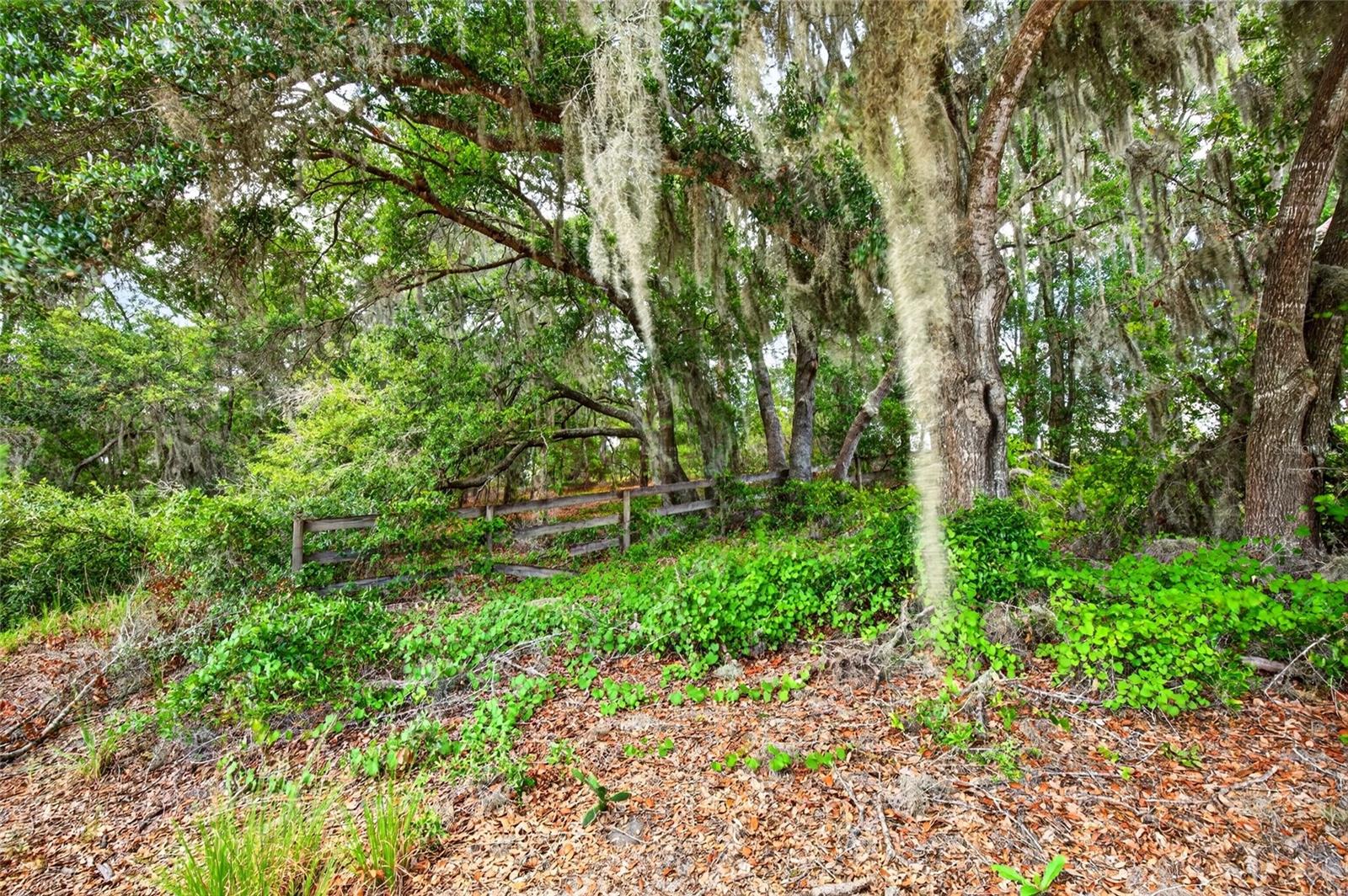 Malauka Loop Property Photo 2