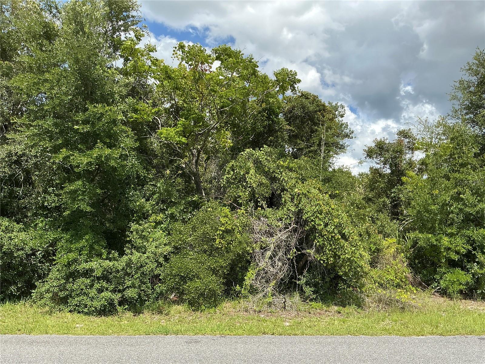 Marion Oaks Dr Property Photo 1