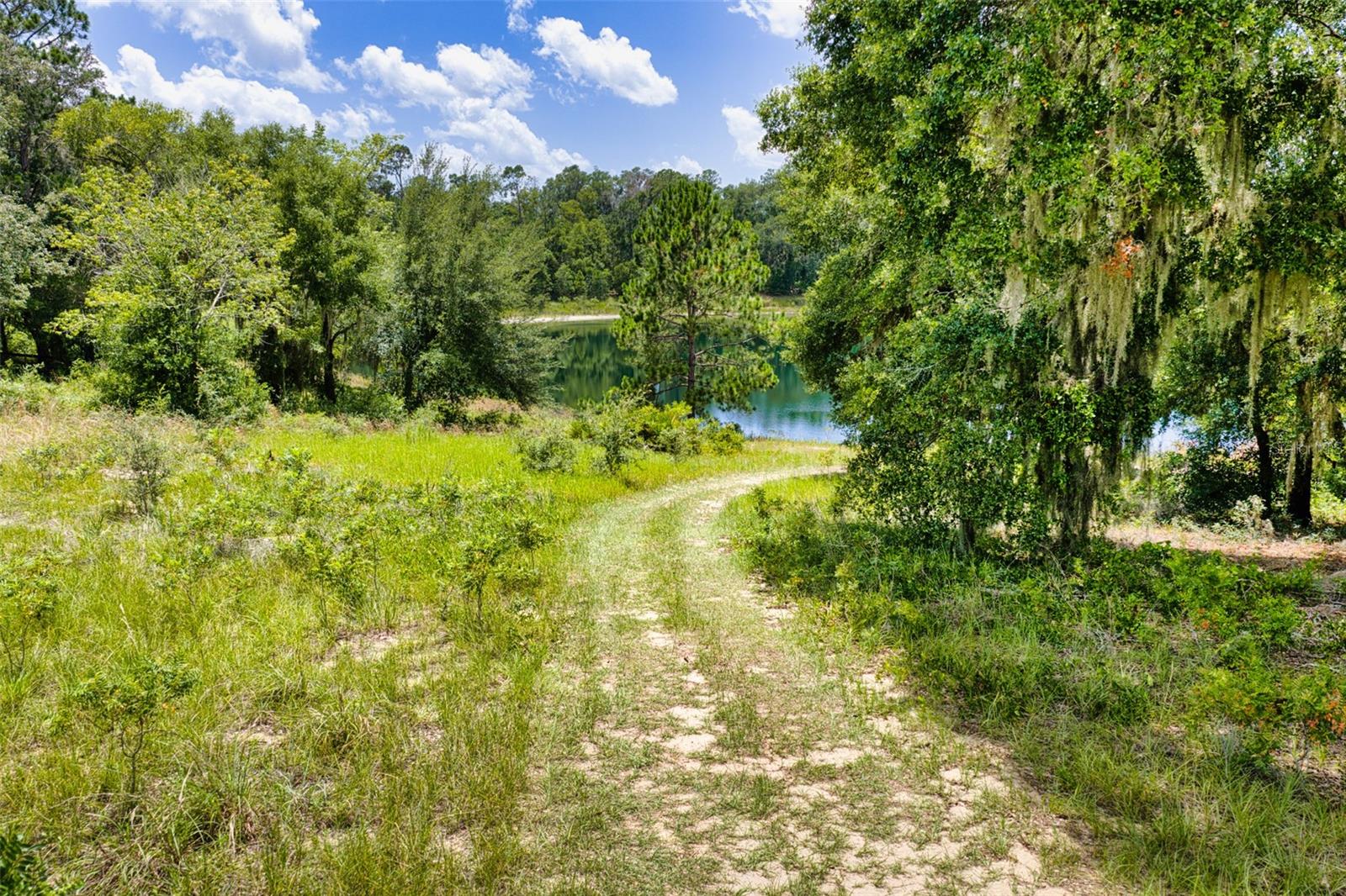 Malauka Loop Property Photo 6