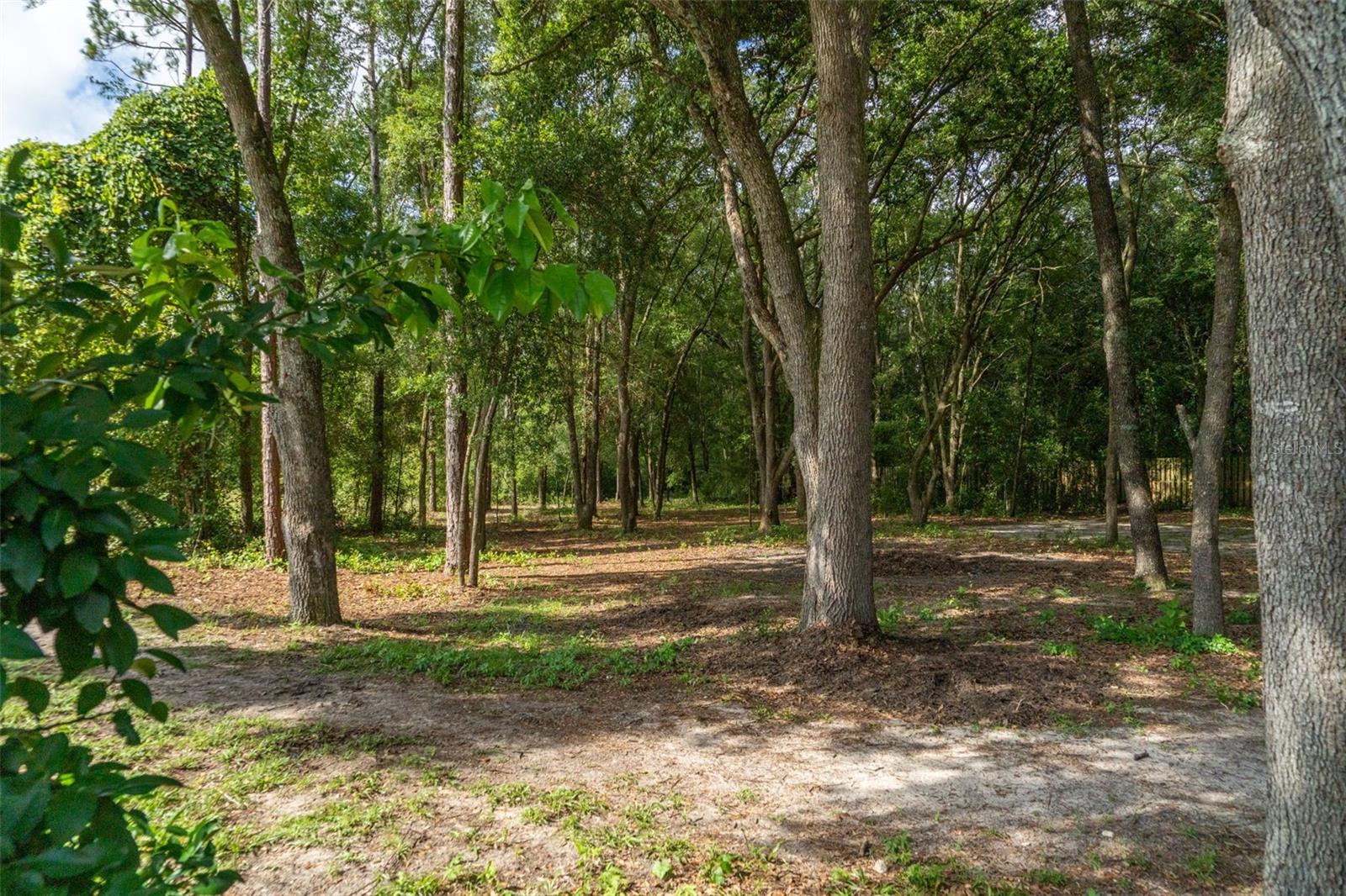 40 Deer Trail Cir Property Photo 1