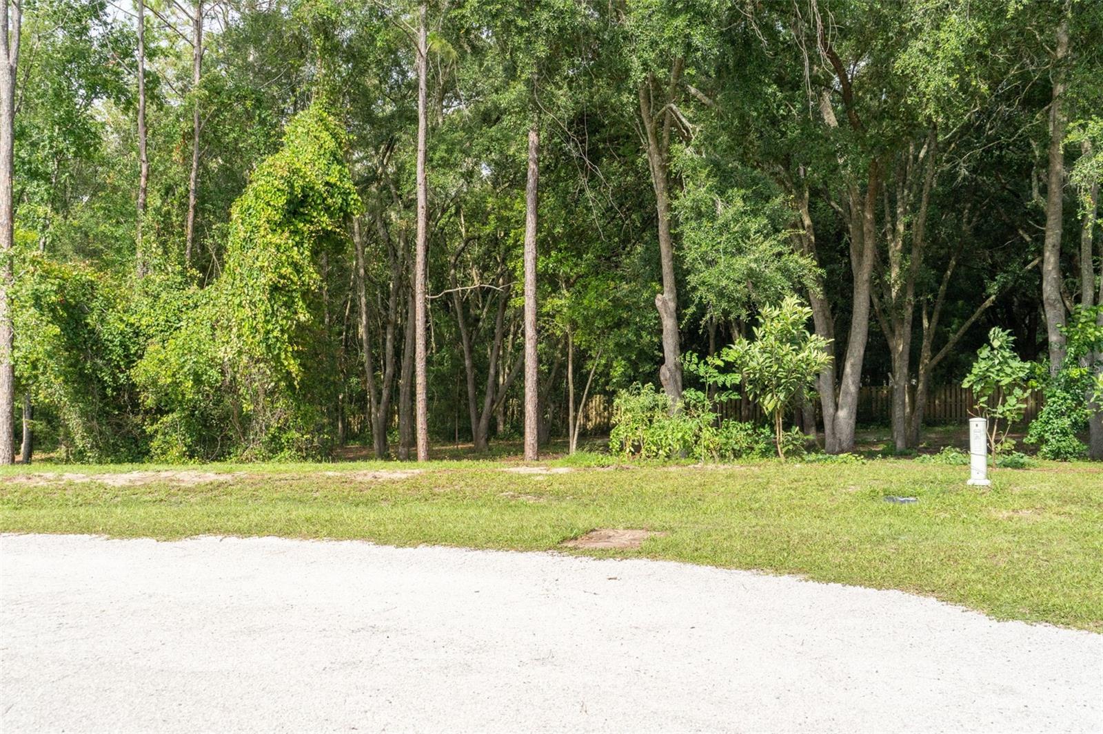 40 Deer Trail Cir Property Photo 3