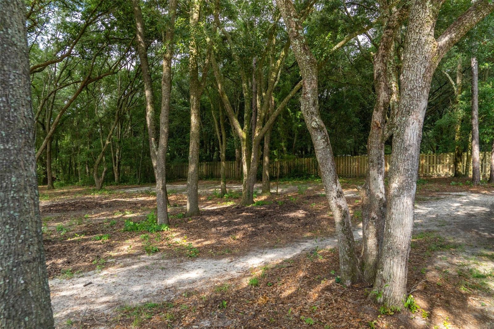 40 Deer Trail Cir Property Photo 4