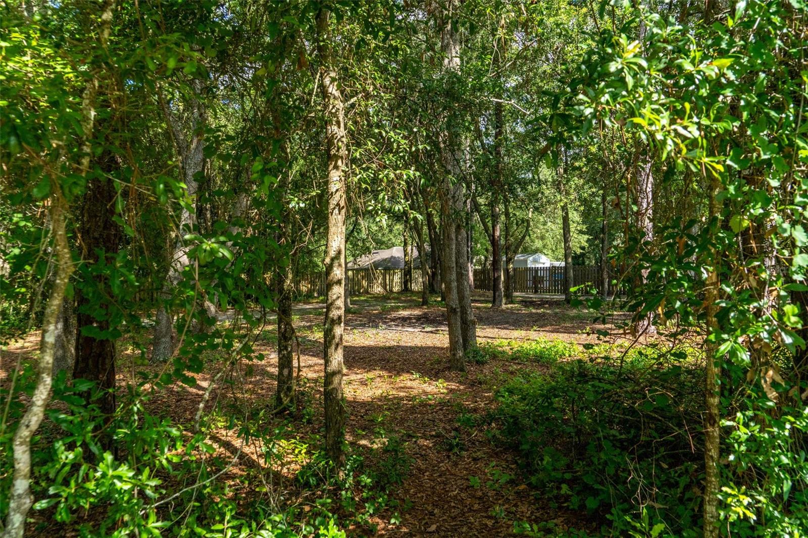 40 Deer Trail Cir Property Photo 5
