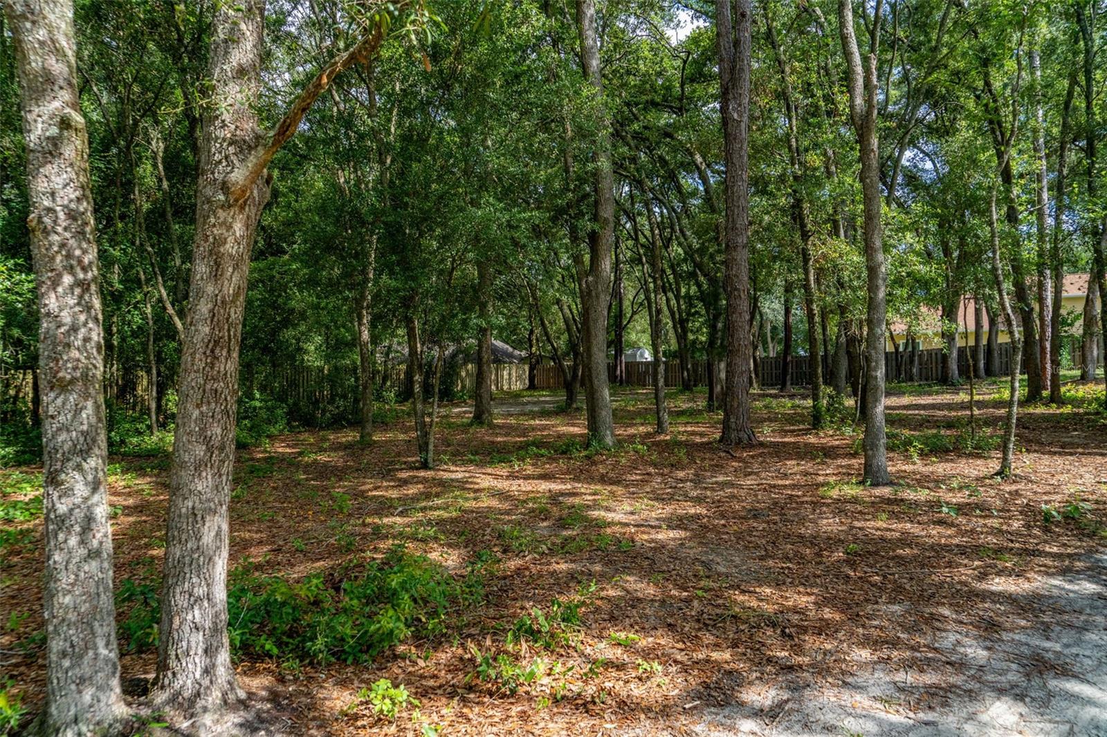 40 Deer Trail Cir Property Photo 8
