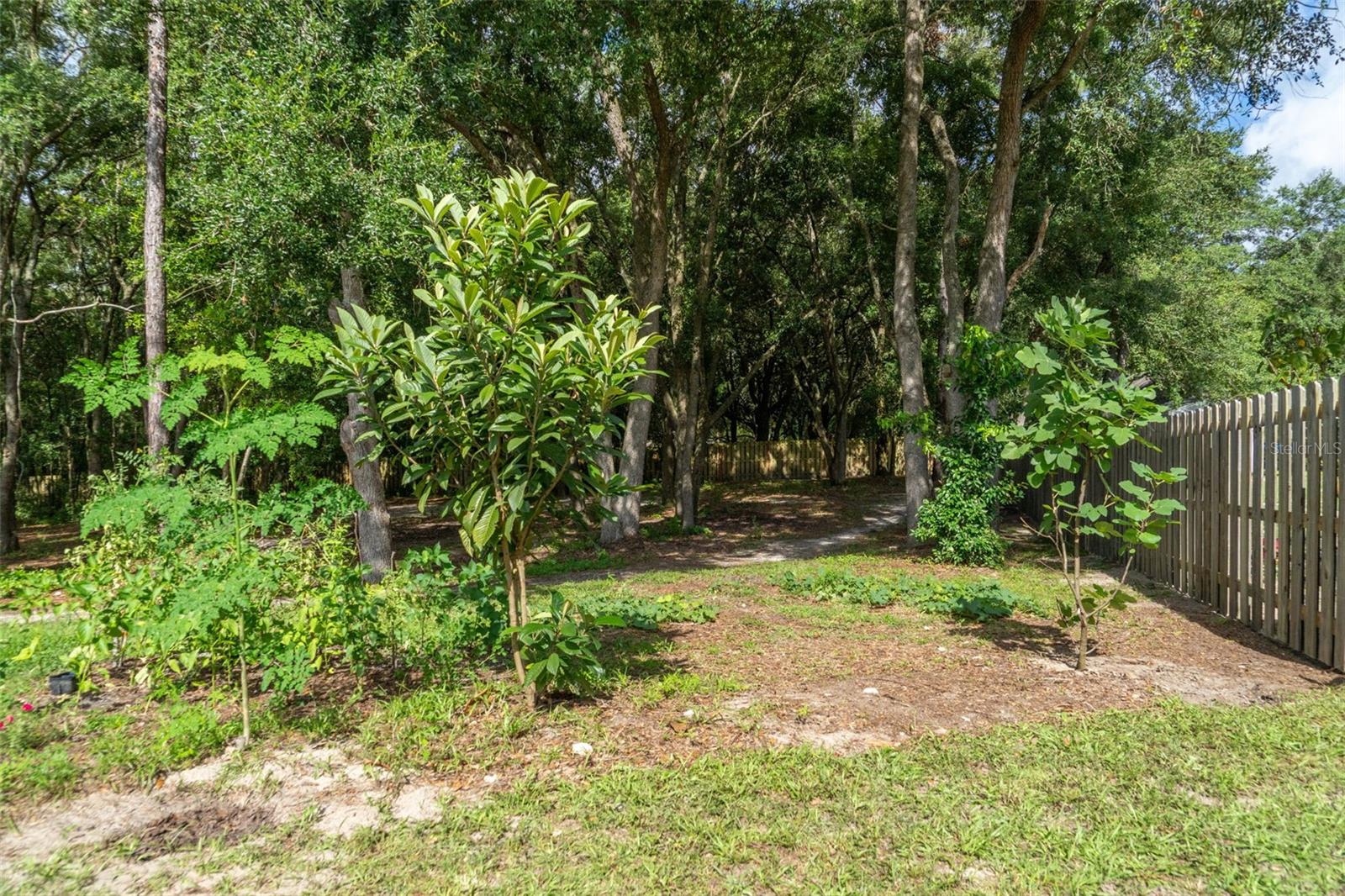 40 Deer Trail Cir Property Photo 23