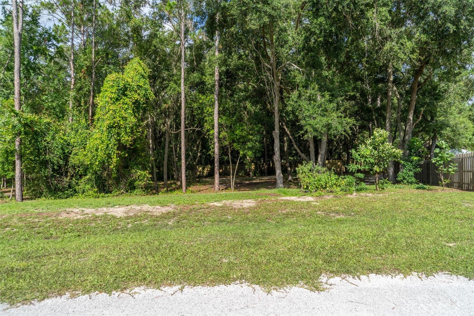 40 Deer Trail Cir Property Photo 24