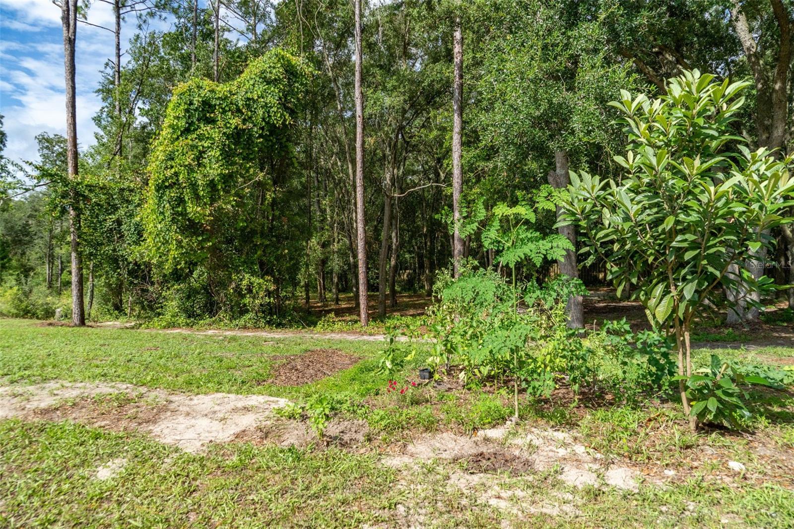 40 Deer Trail Cir Property Photo 25