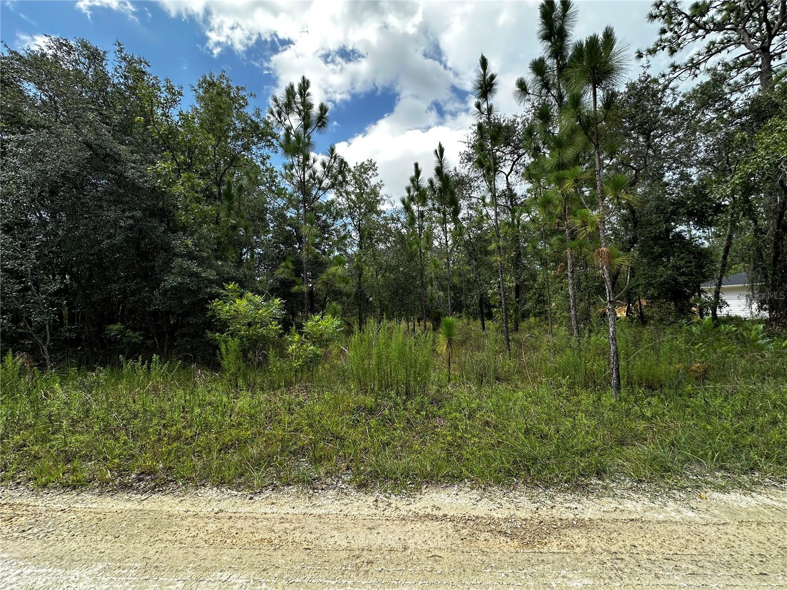 TBD NE 15TH LN Property Photo 1