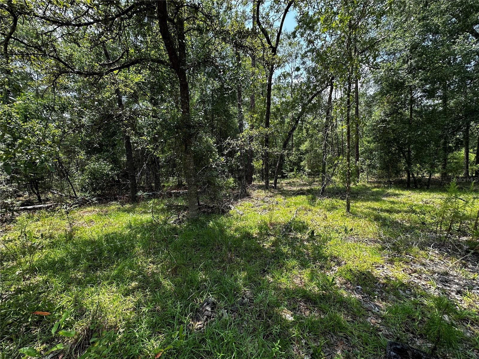 6270 Ne 139th Ave Property Photo 5