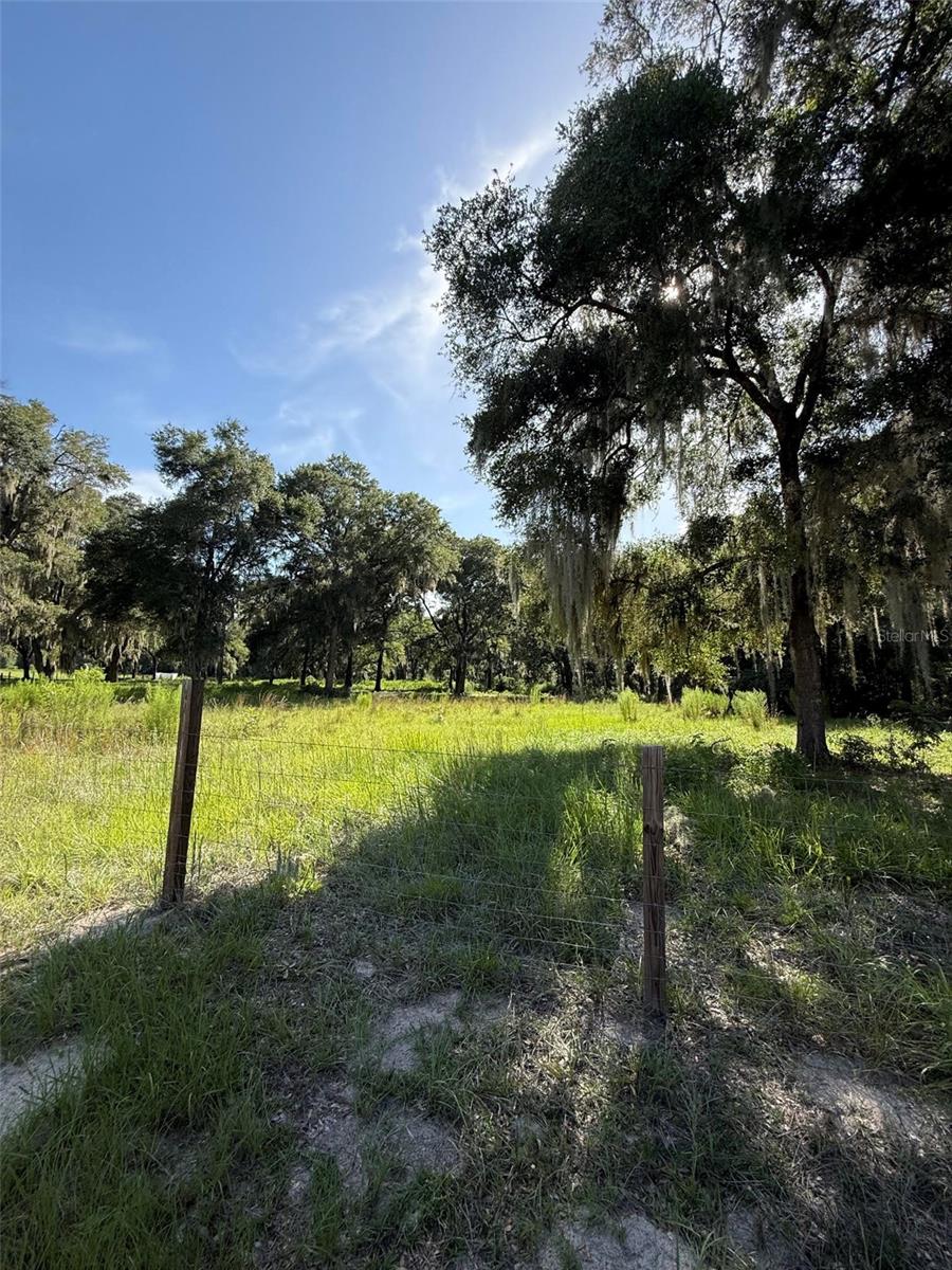 13726 Se 8 Ct Property Photo 5