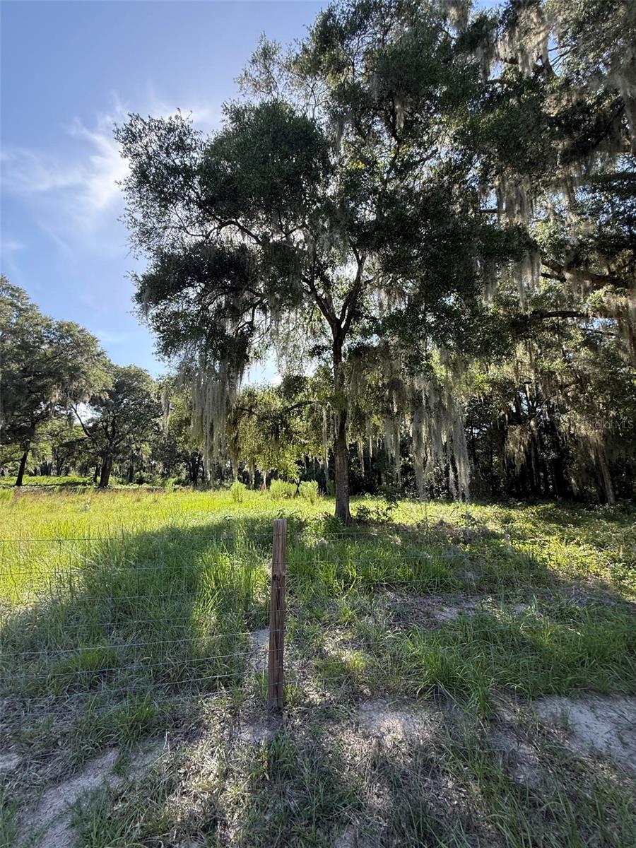 13726 Se 8 Ct Property Photo 6