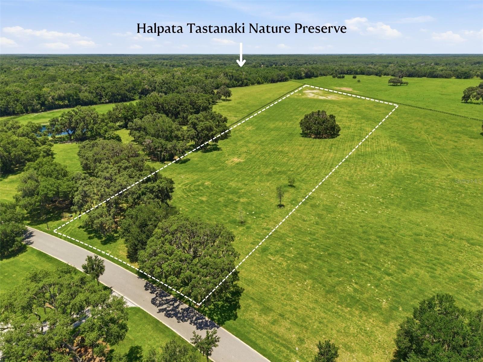 Tbd (lot 14-w) Sw 138th Loop Property Photo 6
