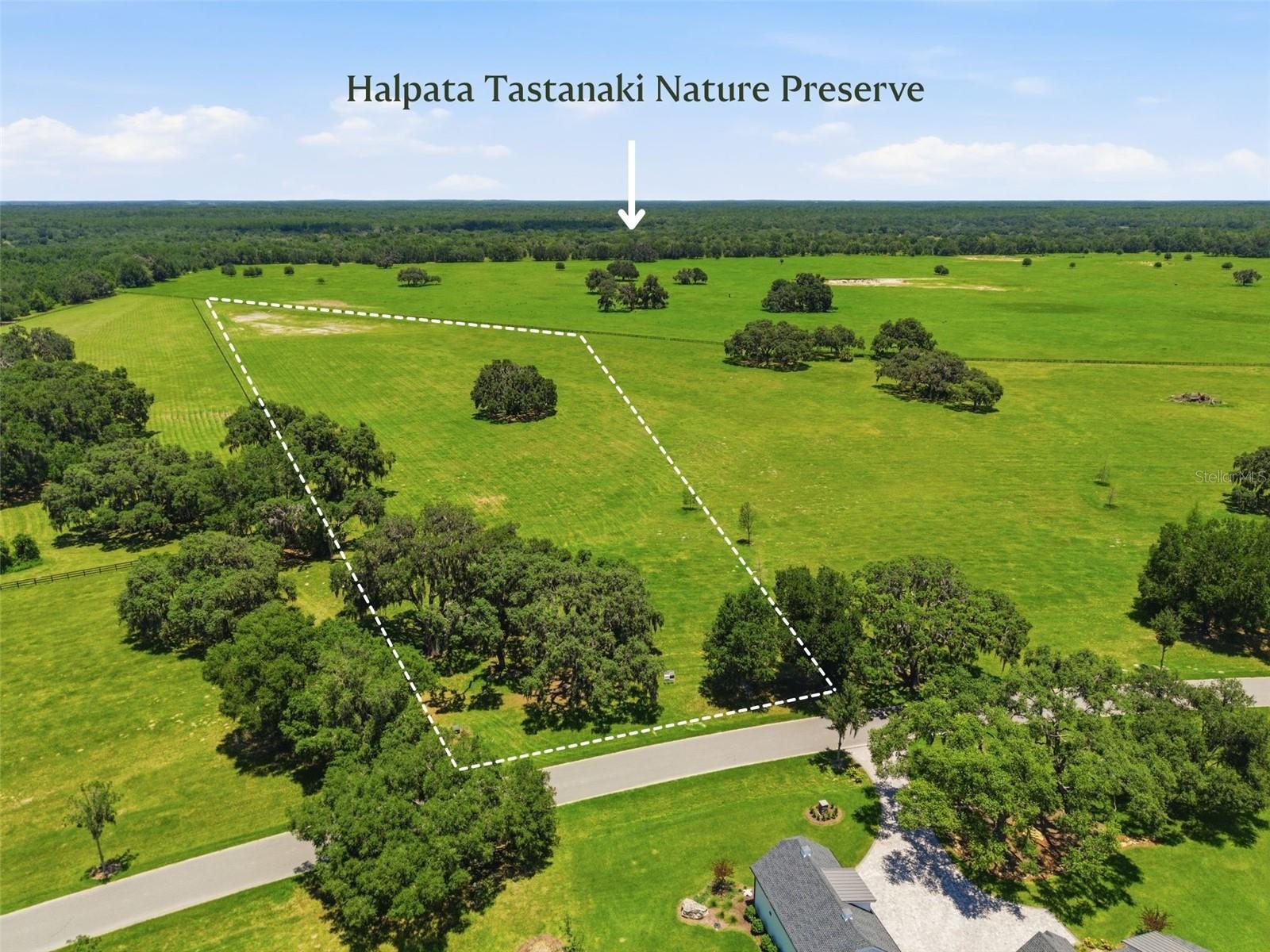 Tbd (lot 14-w) Sw 138th Loop Property Photo 8
