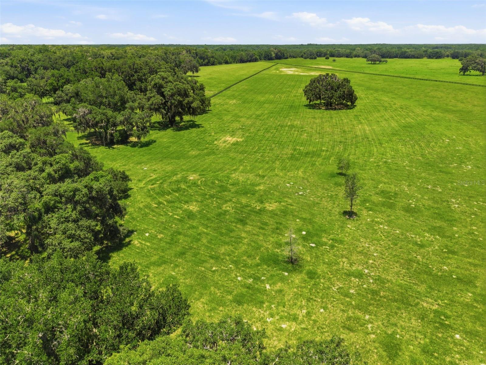 Tbd (lot 14-w) Sw 138th Loop Property Photo 17