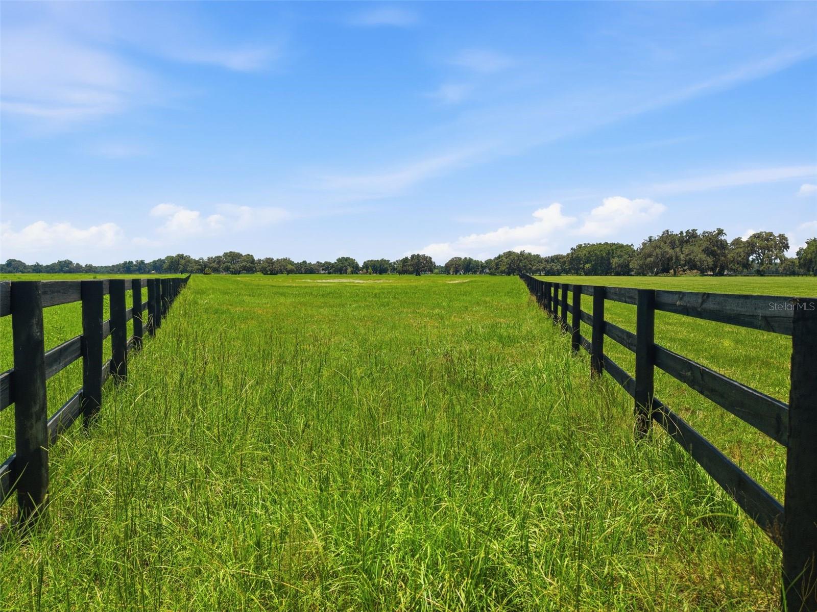 Tbd (lot 14-w) Sw 138th Loop Property Photo 18