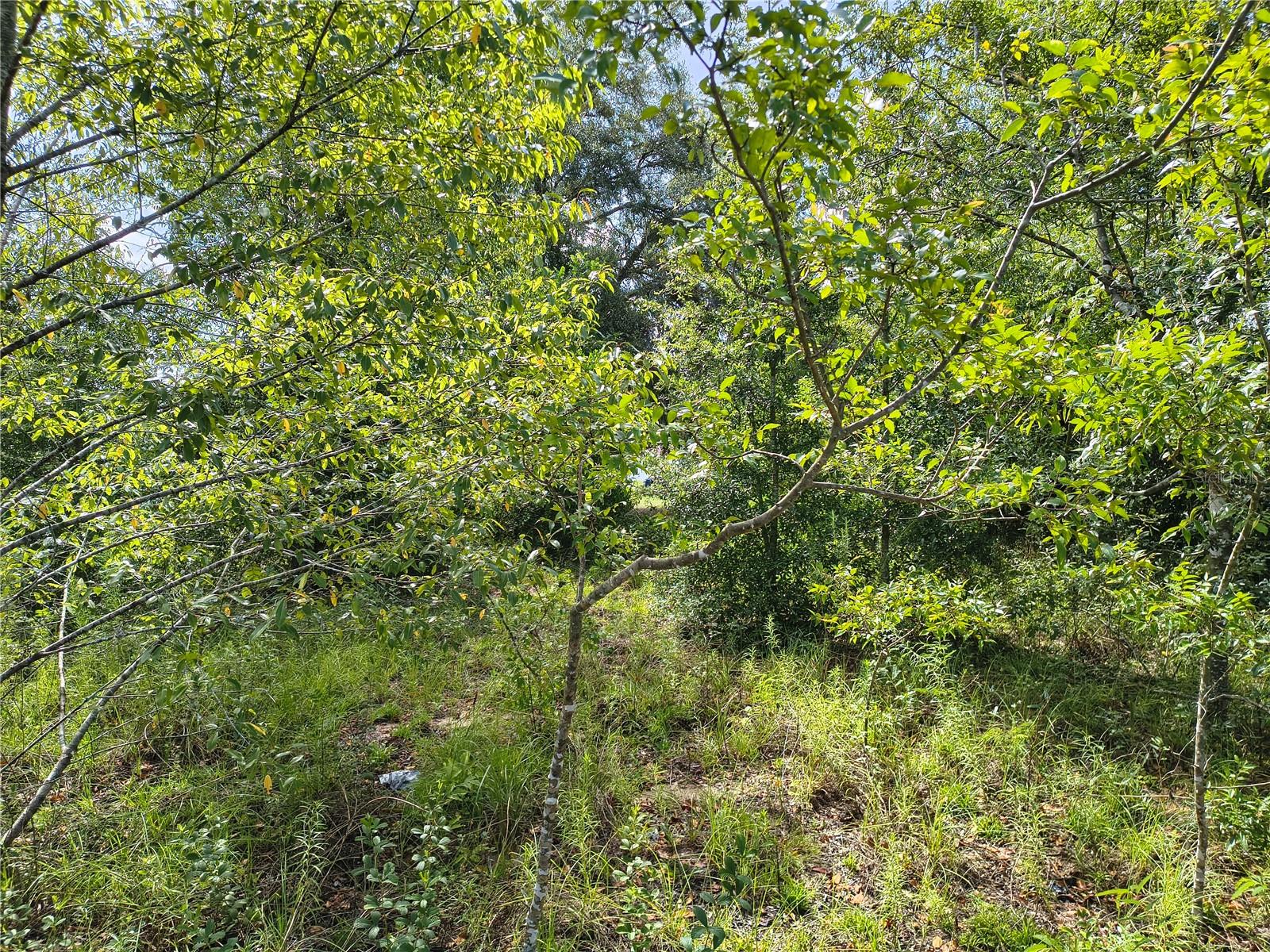 Tbd Nw 6th Pl Property Photo 5