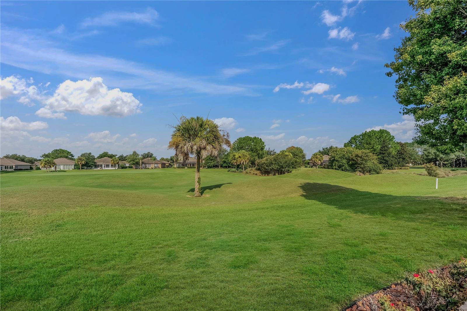 9563 Sw 71st Loop Property Photo 40