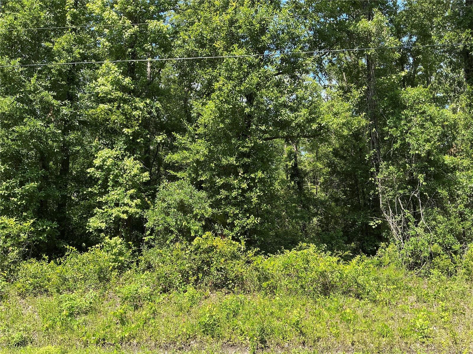 10135 Mcmahon Ave Property Photo 1