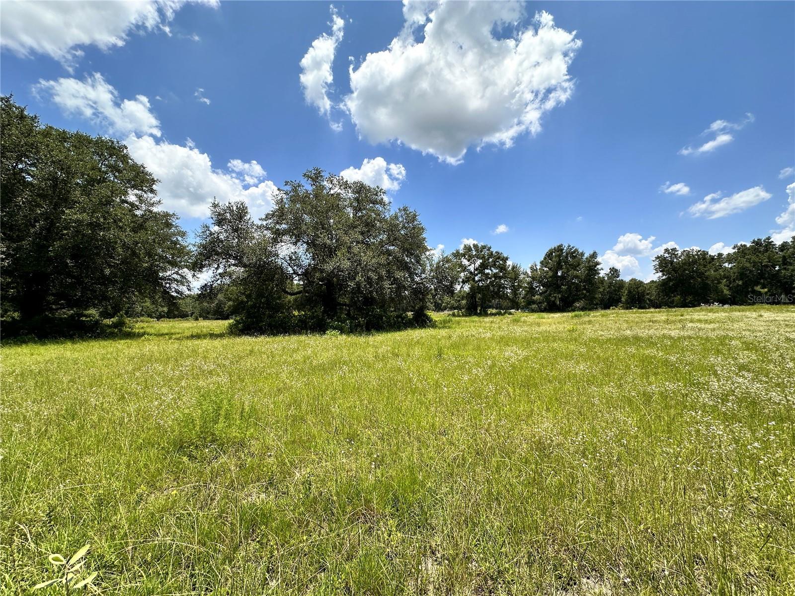 265 Sw Skyline Loop Property Photo 3