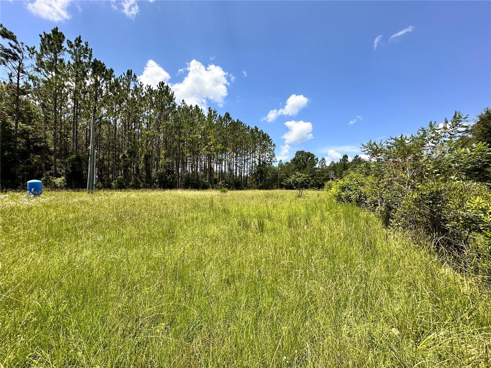 265 Sw Skyline Loop Property Photo 11