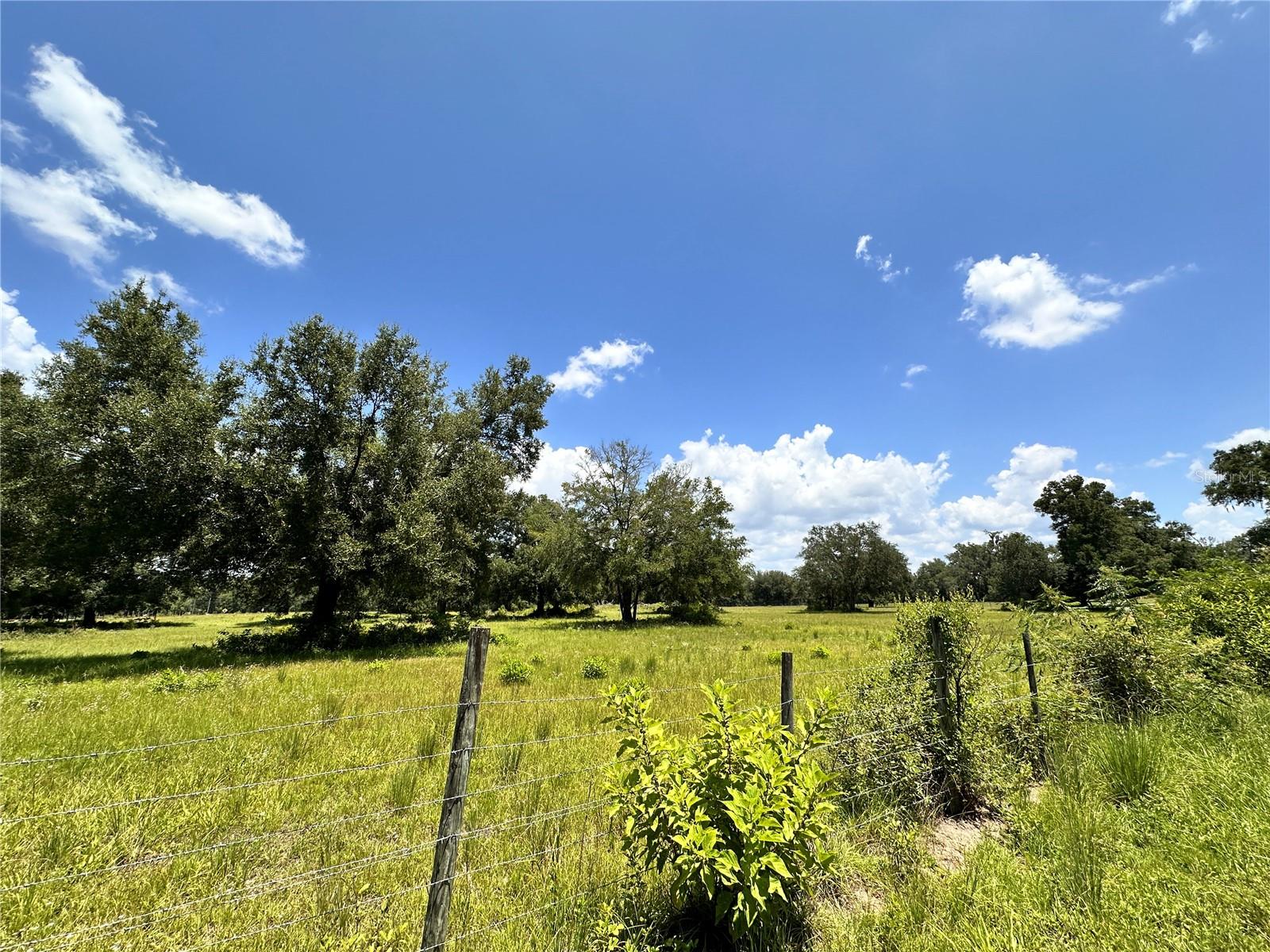 265 Sw Skyline Loop Property Photo 12