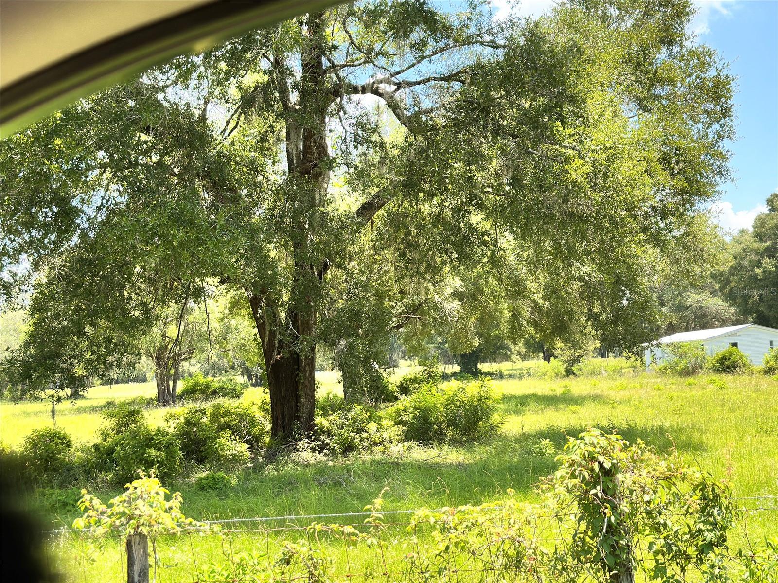 265 Sw Skyline Loop Property Photo 16