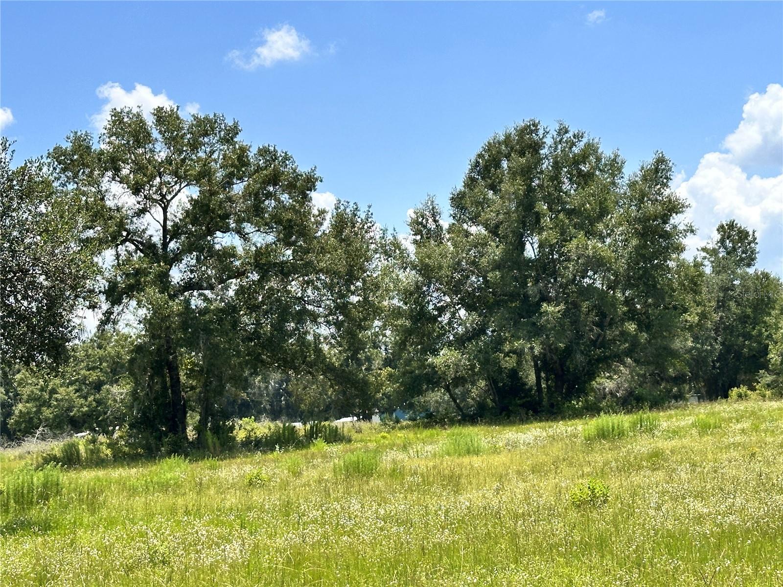 265 Sw Skyline Loop Property Photo 18