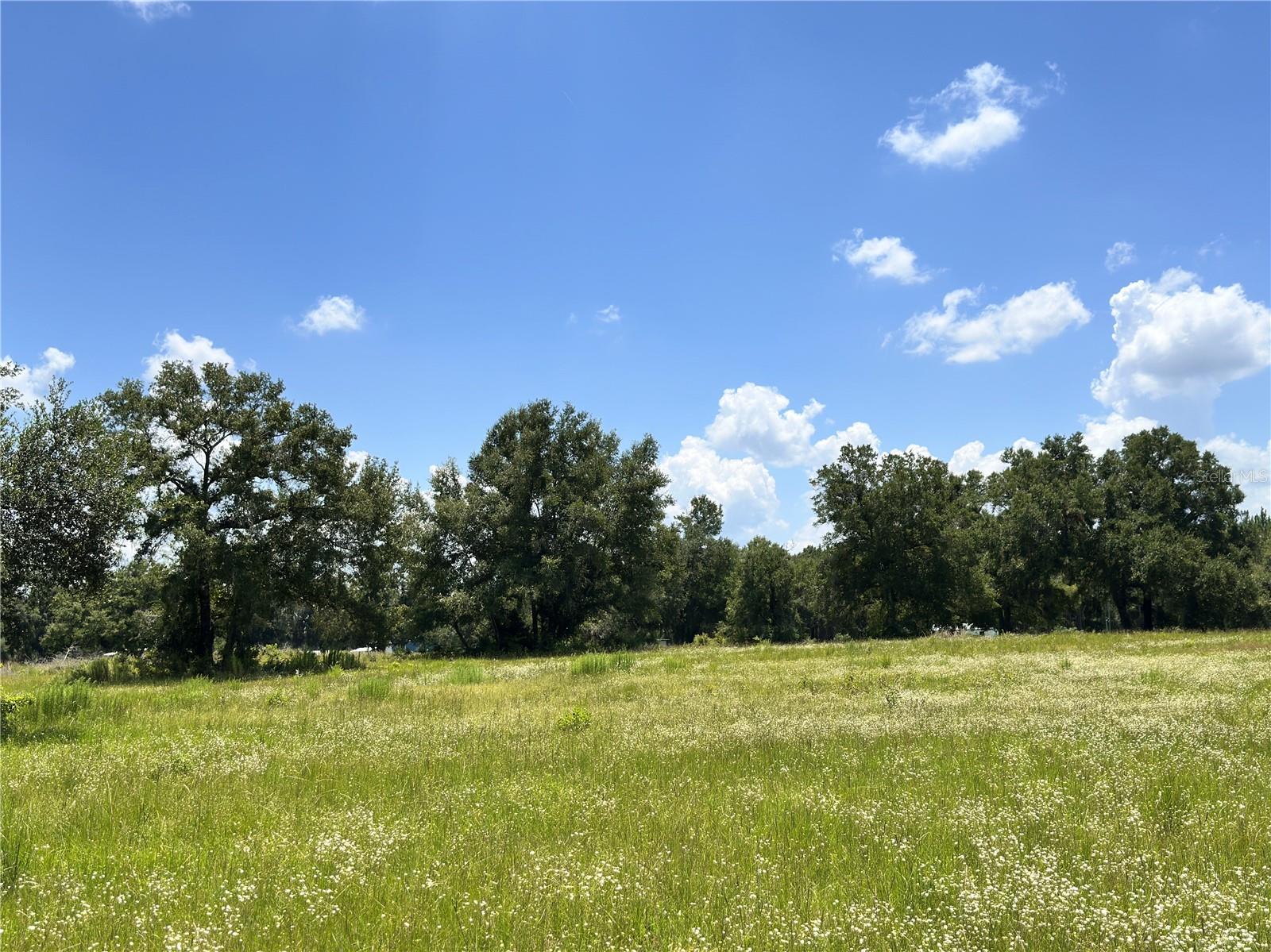 265 Sw Skyline Loop Property Photo 20