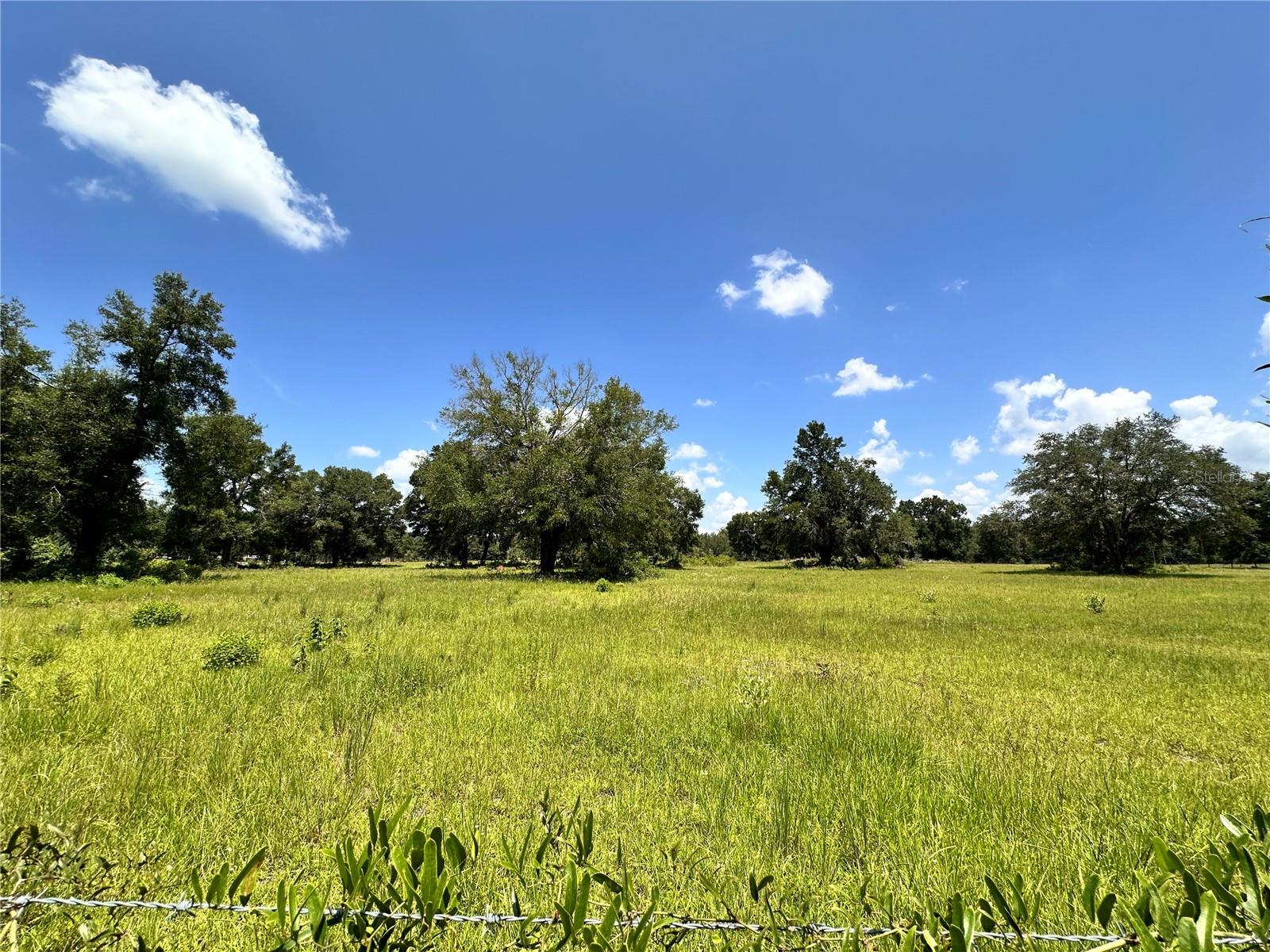 265 Sw Skyline Loop Property Photo 32