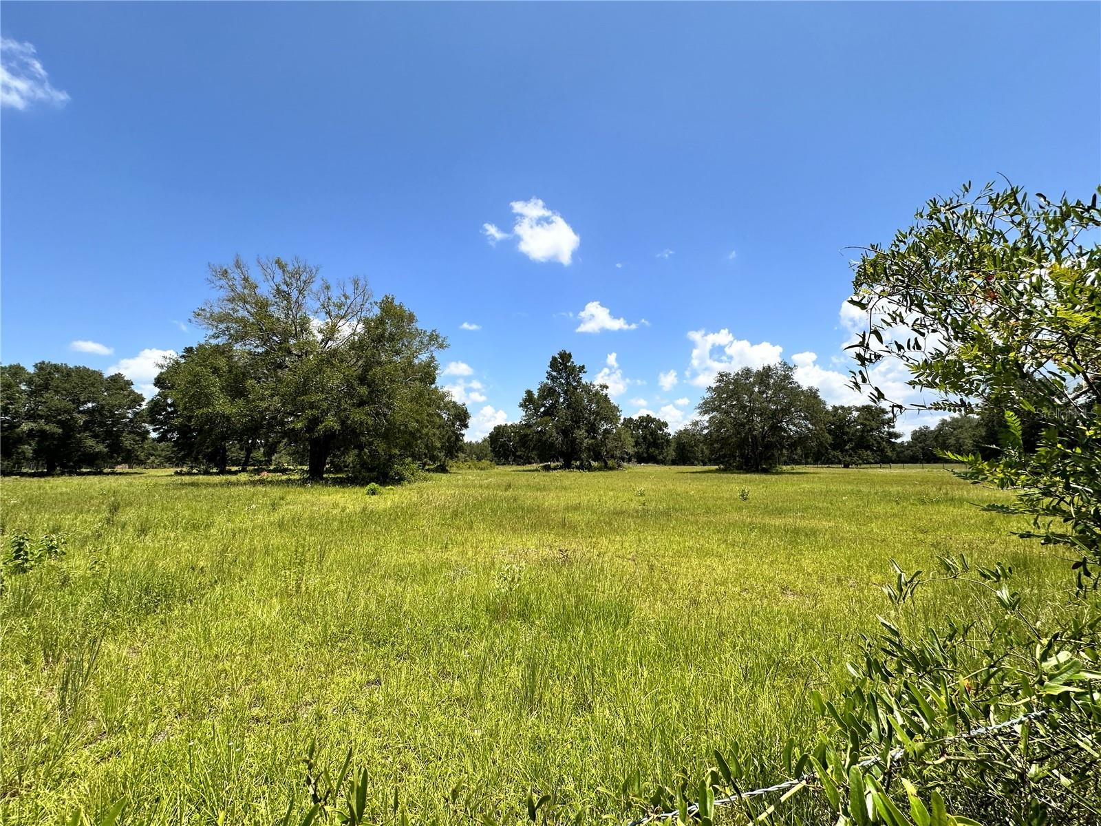 265 Sw Skyline Loop Property Photo 33