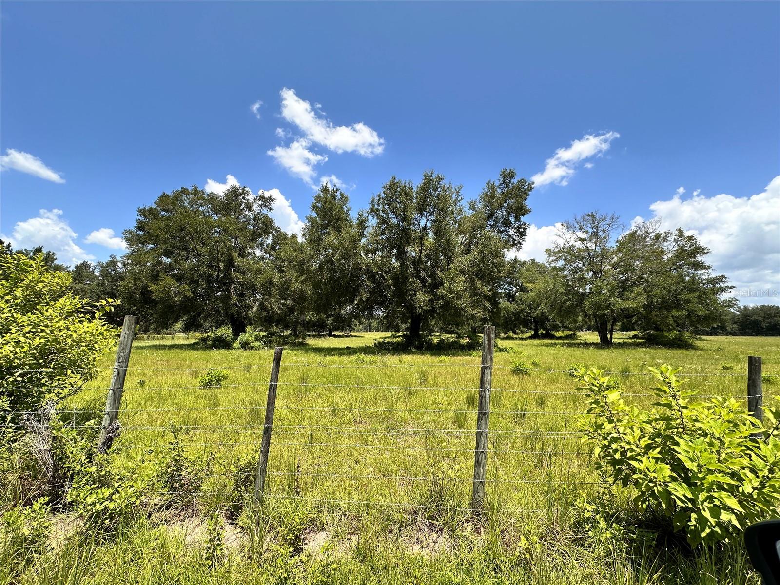 265 Sw Skyline Loop Property Photo 34