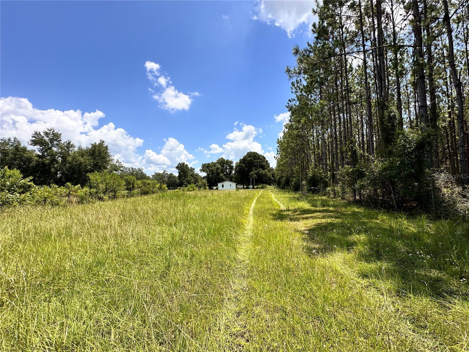 265 Sw Skyline Loop Property Photo 35